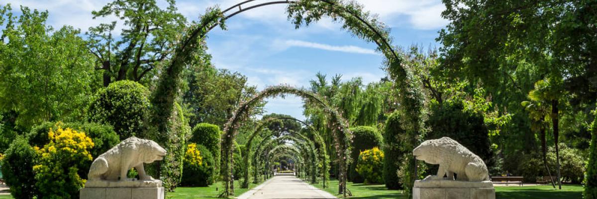 Arquitectura que sana: cómo los espacios influyen en la salud mental y el bienestar físico