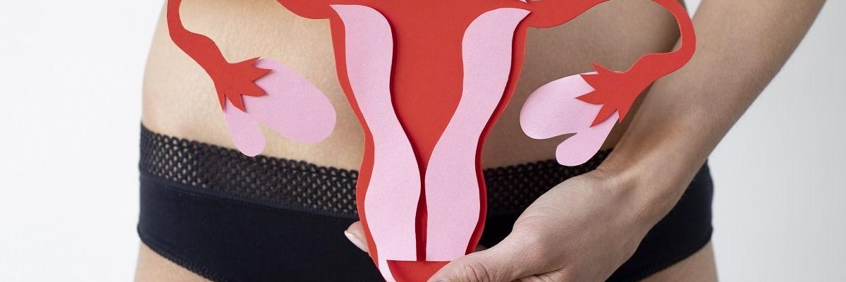 ¿Qué es un prolapso uterino y como prevenirlo?- FisioClinics Palma de Mallorca