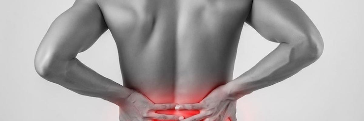 Abordaje para la hernia discal lumbar a través de la osteopatía y fisioterapia - FisioClinics Palma