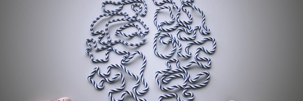 Skill Training para la Neuroplasticidad en Fisioterapia, Efectos del foco externo en la Readaptación