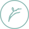 indiba menopausia fisioclinics bilbao indiba menopausia fisioclinics bilbao